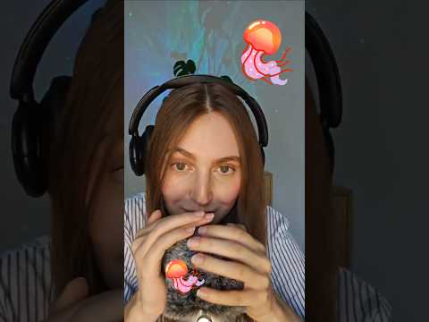 Quallenfisch 🪼 Livestream-Highlight