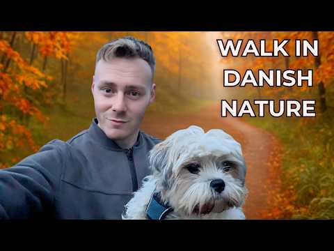 Nature Walk in Denmark in Autumn ~ ASMR Soft Spoken