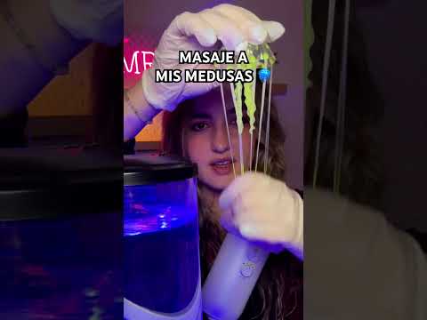 Mis mascotas MEDUSAS 🪼 #asmr #medusas