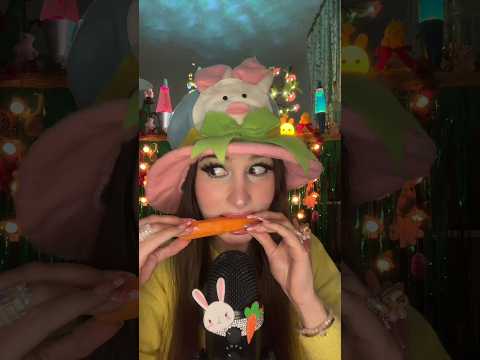 Un festin de lapin 🥕✨🐰 #asmr #eatingasmr #carrot #crunchyasmr #humour