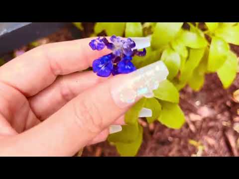 ASMR long nail playing with flowers relaxing