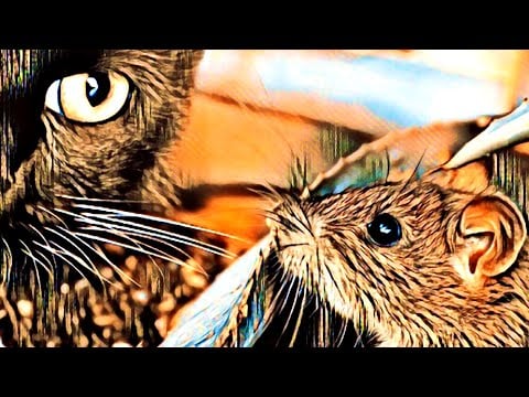 ASMR | MOUSE, BIRD, & SAUSAGE by THE BROTHERS GRIMM [Soft Spoken, Reading You To Sleep]