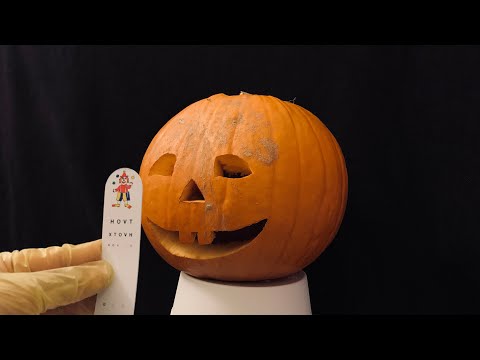 [ASMR] Real Pumpkin Medical Exam