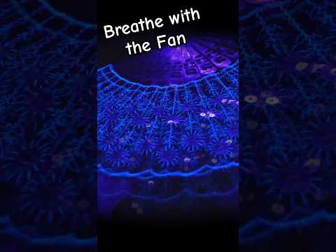 Breathe With Me 🪭 ASMR Visual Effects in the Darkness