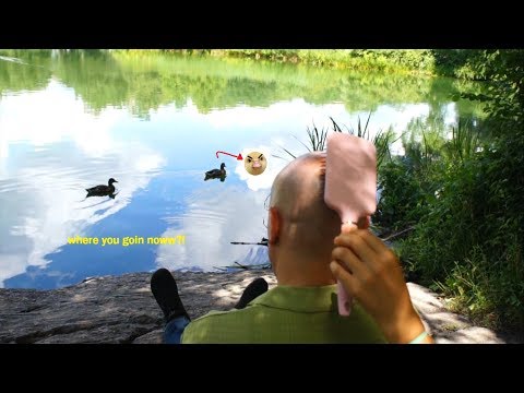 NYC DUCKS INTERRUPT MY ASMR PAMPERING SESSION.