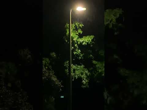 Neem deze 1,5 minuut om te luisteren naar deze regengeluiden 🌧️