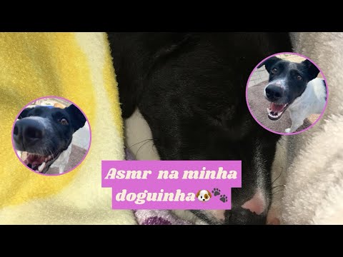 Asmr na minha cachorrinha (história de como adotamos a mucca) 🐾🐶🥹 #asmr #asmrsounds #asmrvideo