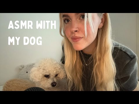 ASMR with my dog | short & chaotic