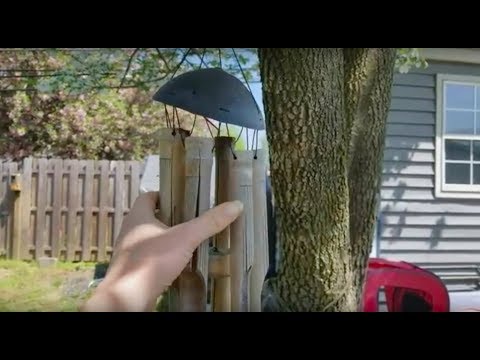 Asmr - Nature Sounds - Backyard Tour