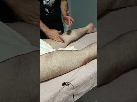 THE MOST RELAXING TECHNIQUES FOR HIND LEGS AND FEET #satisfying #relaxing #asmr #shorts #massage
