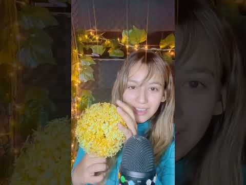 ASMR CUÁL ES TU SONIDO FAVORITO ❤️