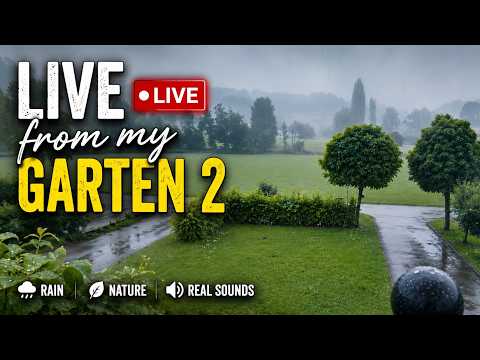 🔴 LIVE From My Garden Series #2 🌧️ Real Rain Sounds for Sleep, Relaxation & Study