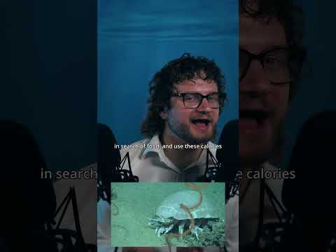 What is Deep Sea Gigantism and how does it work? #asmr | Whispering science facts to you