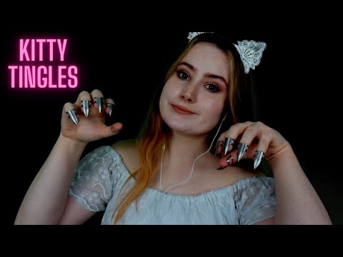 Cute ASMR Kitten gives you a head massage