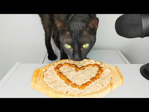 Cat eating heart shaped food ASMR