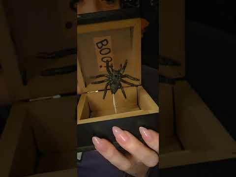 Aggressive Wood Box Tapping #asmr #relax #asmrsounds