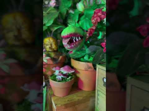 Preview of Herbologist 🌿 Coming soon! #fantasy #asmr #props #herbology #asmrvideos