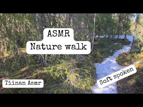 Nature Walk ASMR — I’ll Bring the Finnish Forest to You When You Can’t Step Outside | Soft Spoken
