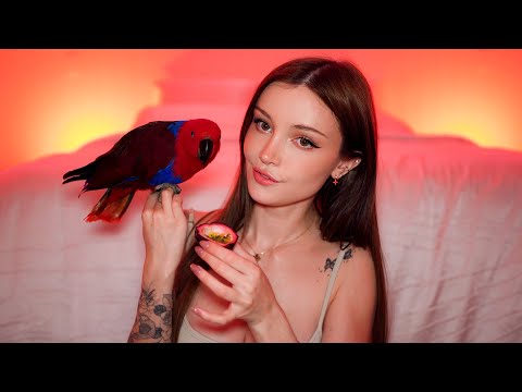 asmr sounds while feeding my parrot… (dainty wilder)