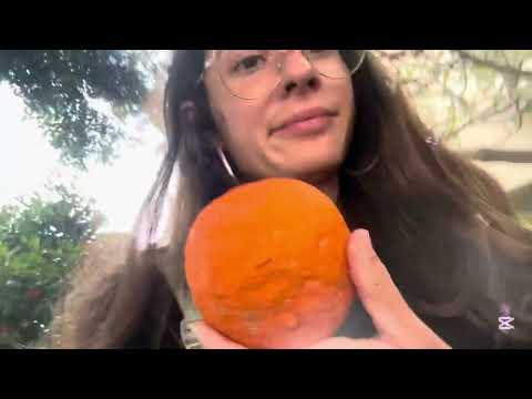 ASMR showing you around Tel Aviv 🍁🇮🇱