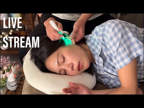 Not ASMR 耳かきライブ Live Stream: Ear Massage