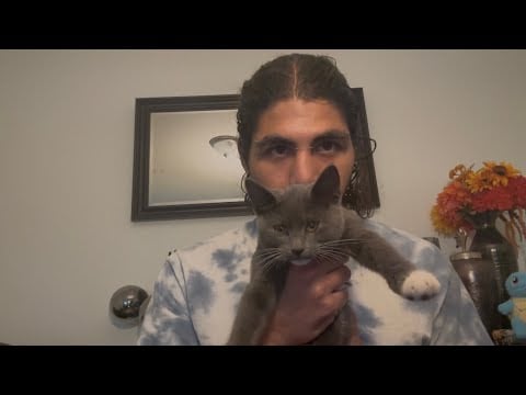 ASMR on how I unexpectedly became a Cat dad (whispered storytime)