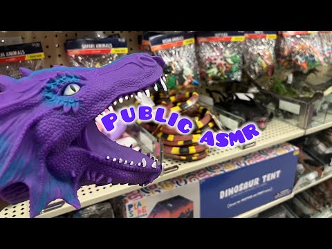 PUBLIC ASMR | Slow & Gentle Camera Tapping, Lofi, and MORE!  (No Talking)