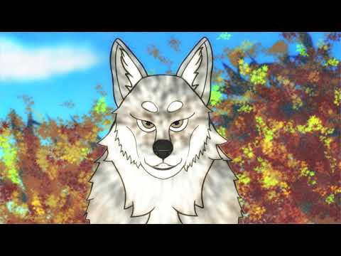 ASMR - Saarloos Wolfdog Licks #furry #asmr