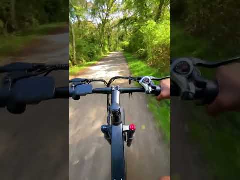 🚴‍♂️💤 Relaxing Bike Ride ASMR 🌲✨ No Talking, Scenic Nature Vibes 🌿