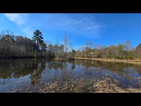 ASMR | Let's Go to the Pond! (Whispered Voiceover)
