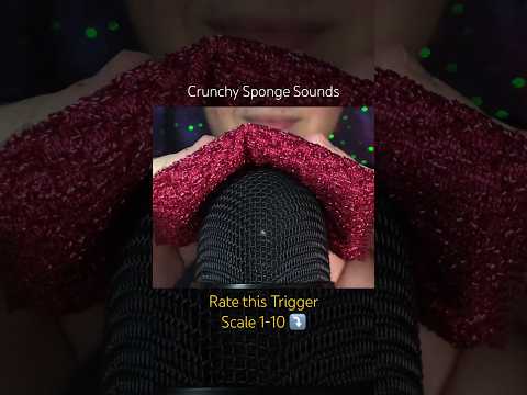 Crunchy Sponge Sounds 🧽 (ASMR)