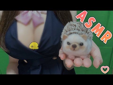 【実写ASMR】熱中症対策♡脳がとろけるマッサージ&耳かきで夏バテも吹っ飛ぶ睡眠導入