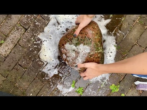 ASMR 🪨 | Cleaning a Rock