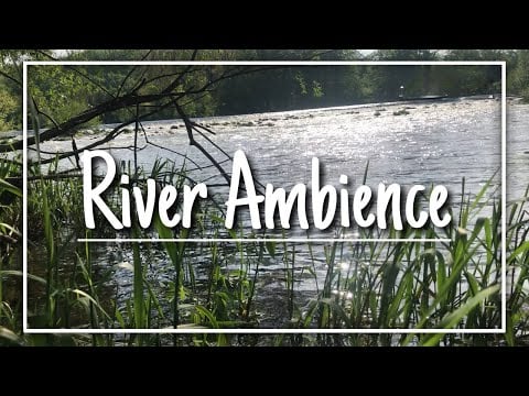 ASMR || Relaxing River Ambience 🏞️ ~ Jonathan ASMR