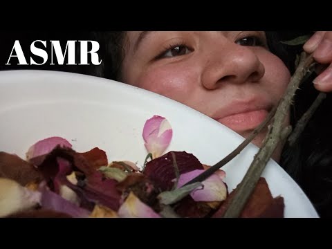ASMR • 🥀🥀 SONIDOS CON ROSAS SECAS 🥀🥀
