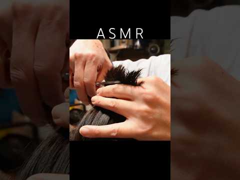 Hair cut ASMR / The Sound of Thinning Scissors #asmr #haircut #barbershop