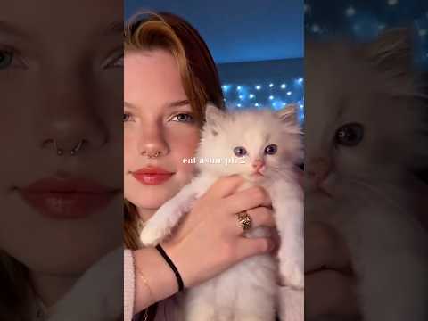 soft purrs + gentle kitten sounds 💤 #catasmr #asmrshorts #tingles #relaxing #asmr #asmrforsleep