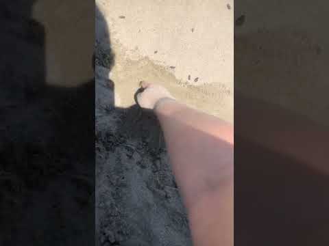 Lofi ASMR at the Sea 🌊 Nature Sounds, Waves, Wind, Sand, Sun ☀️