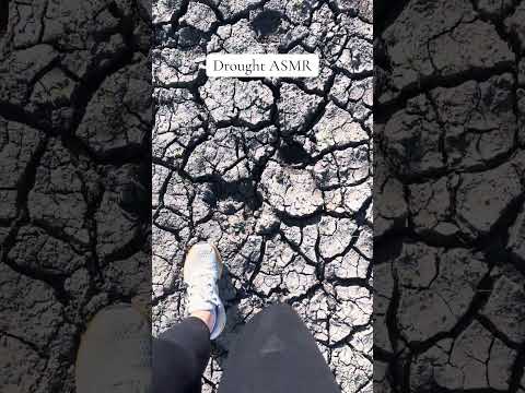 Drought ASMR #tingles #triggersforsleep #relax #visualtingle