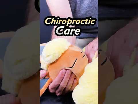 A little Pokemon Chiropractic care  #asmr #pokemon #chiropractic #shorts