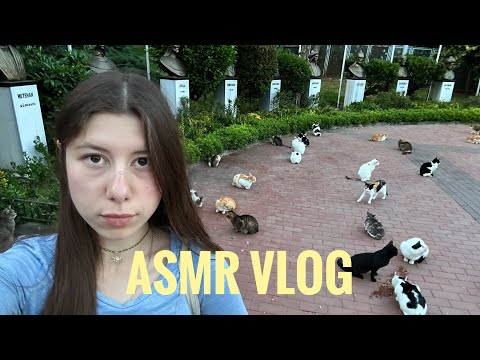 ASMR Vlog from Istanbul for my pookies (cats, cats, cats)🐈‍⬛🇹🇷