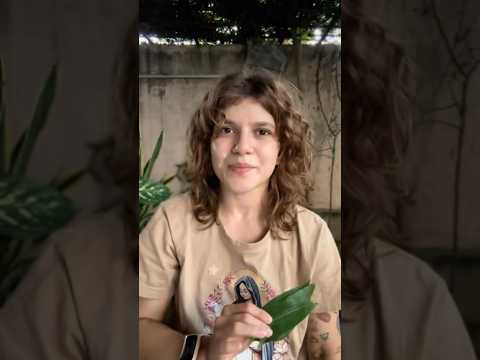 #asmr #relax #asmrroleplay #tingles #fy #asmrvideo  #asmrcommunity #benza #benzedeira #oracao