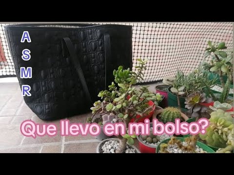 ASMR Que llevo en mi bolso?