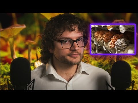 ASMR: Mycelium, Fungi Facts (Fungi is now used in building material!) | Ear-to-ear Whispering