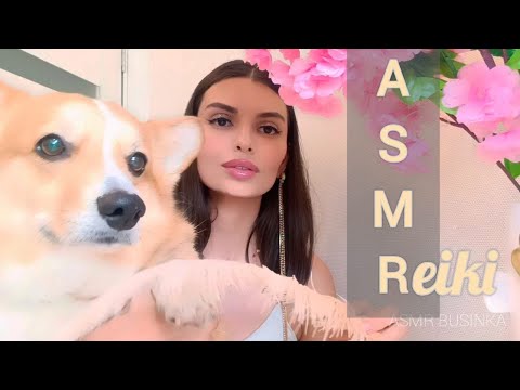 ASMR with CORGI | GUIDED | MEDITATION | SLEEP | WHISPER