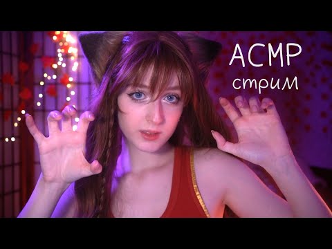 Уютный АСМР стрим | Кошкодевочка промурашит тебя и уложит спать