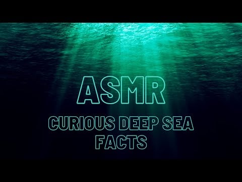 ASMR Interesting Facts about the Deep Sea | Up close Binaural Whispering with Ocean Ambiance