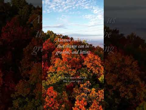 There is beauty in change... #autumn #fall #autumnquotes #autumnquote