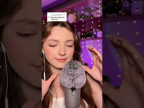 Purring asmr #asmr #asmrsounds #asmrrelax #asmrsleep #relax #tingles #asmrvideo #relaxingvideos