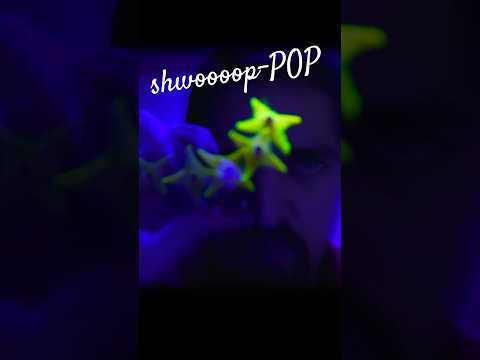 ASMR (Perfect Loop) Hypnotizing Visuals & Mouth Pops n Swooshes